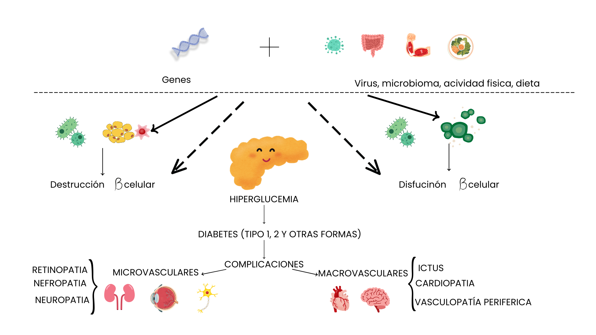 ¿Cuáles son las diferencias entre la Diabetes Tipo 1 y 2?